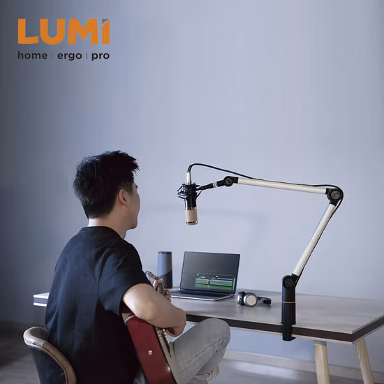 China Manufacturer Customized Adjustable Mic Boom Microphone Arm Stand with Adapter